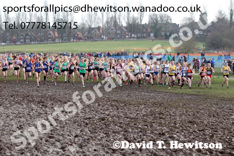 Start of the of the under-15 girls Inter Counties Cross Country, Cofton Park, Birmingham. Photo: David T. Hewitson/Sports for All Pics